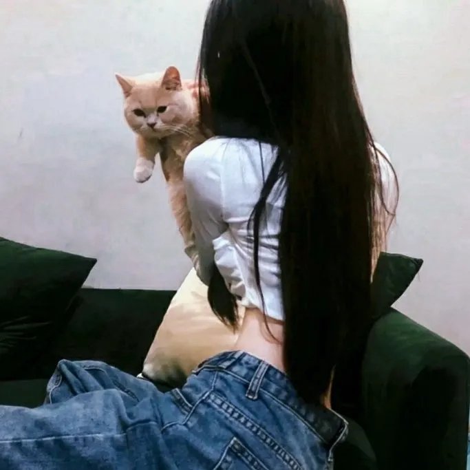 恋恋书中人